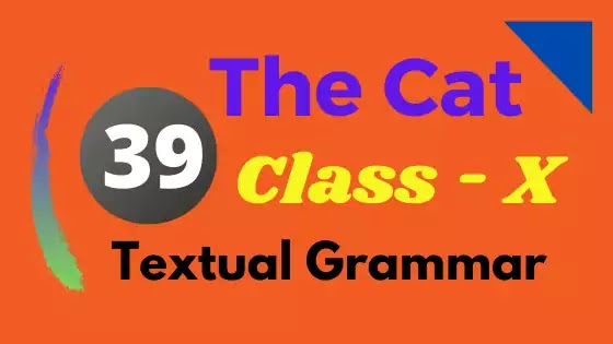 The Cat Textual Grammar 1