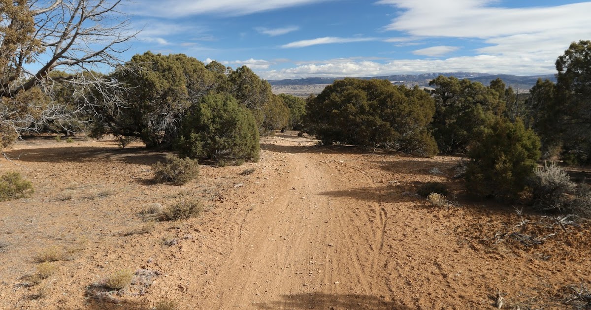 Buzzard Gulch Trails (9)