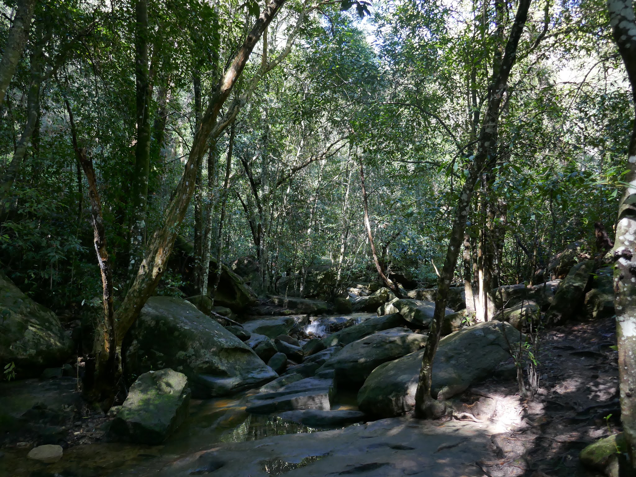 All The Gear But No Idea Cockle Creek & Cowan Water The Gibberagong