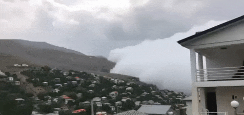 마을을 집어삼킨 안개