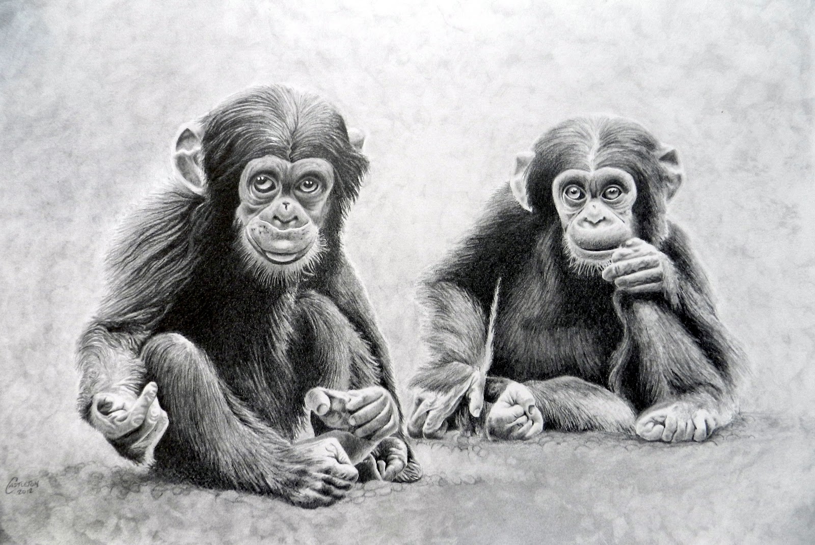 CASTLETOONS: Cheeky monkey's