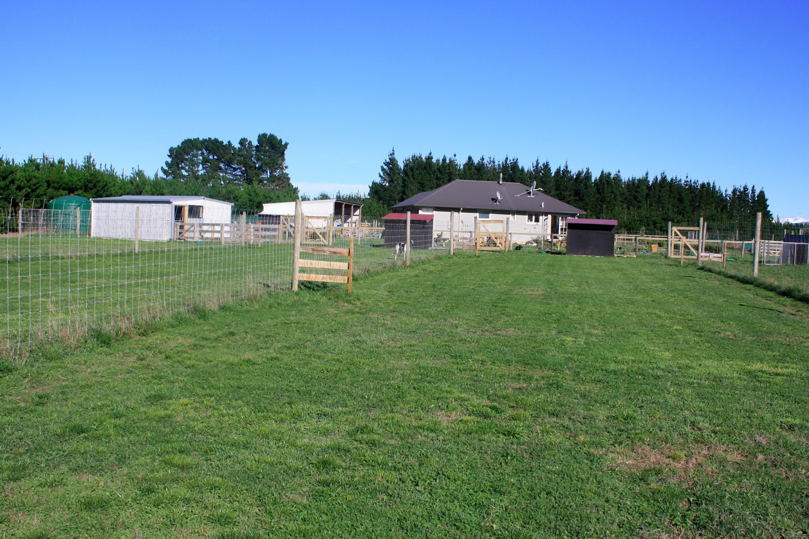 Feral Greyhound Kennels Kennel Facilities