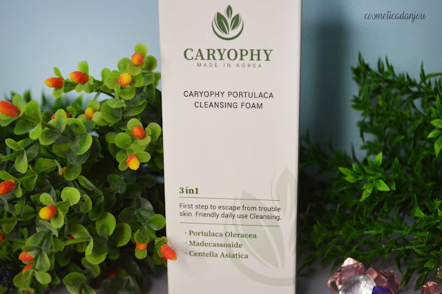 CARYOPHY Portulaca Toner & Portulaca Cleansing Foam review