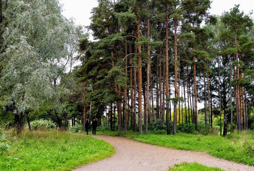 Парк Александрино: Карта