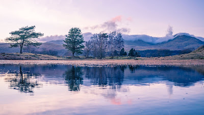 Wallpaper free trees, lake, reflection, landscape Wallpaper free trees, lake, reflection, landscape
