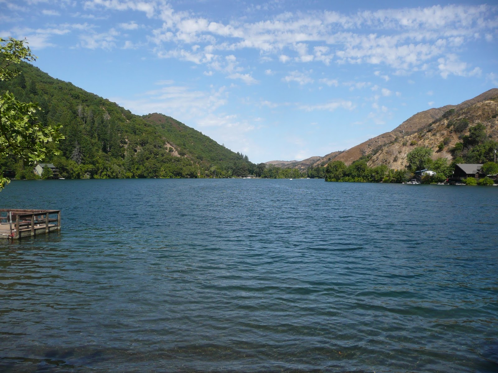 Northern California Trout Upper Lake