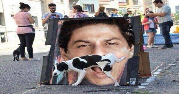 13 + Funny Jokes On Shahrukh Khan + Trolls,Funny Quotes,Memes
