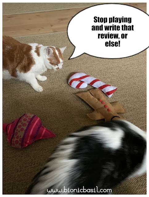 Feline Fiction on Fridays #115 at Amber's Library ©BionicBasil® Amber and Melvyn