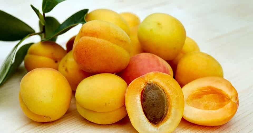 Why do apricots make you poop? The shocking reason