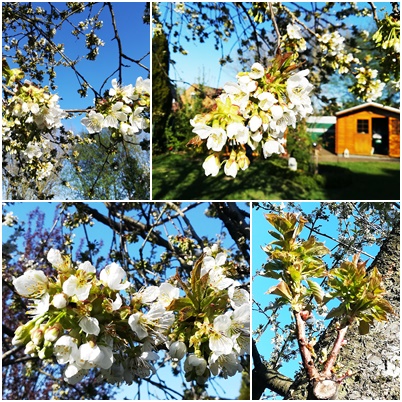 Meine Bilder Galerie