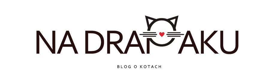 Na drapaku - Blog o kotach