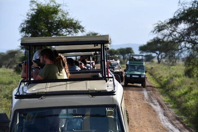 Safari na Tanzânia e no Quênia