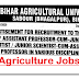 Bihar Agricultural University Recruitment | 310 Assistant Professor Posts