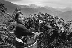 Fotos de Sebastião Salgado