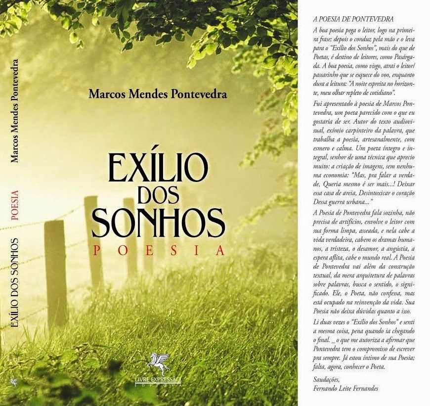 Exílio dos Sonhos - Poesias - Marcos Mendes Pontevedra