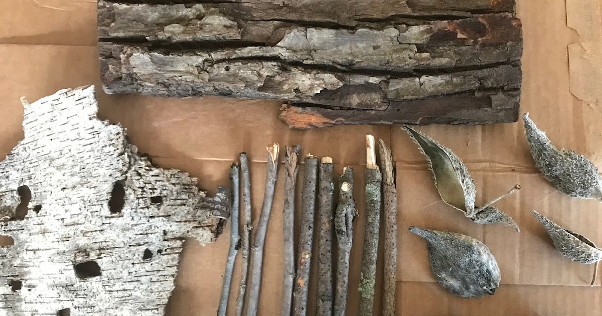 La Escuela Fratney Art Room Project 2 Collecting Nature