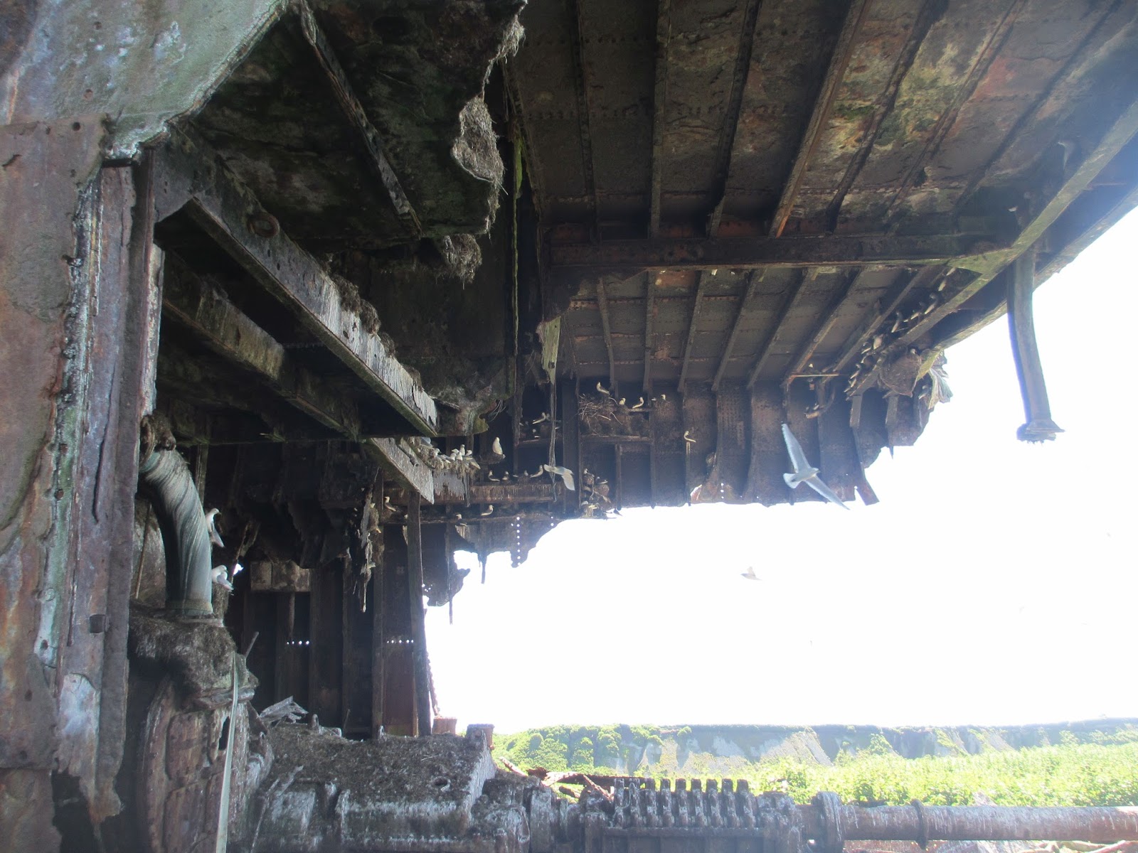 Middleton Island, Gulf of Alaska