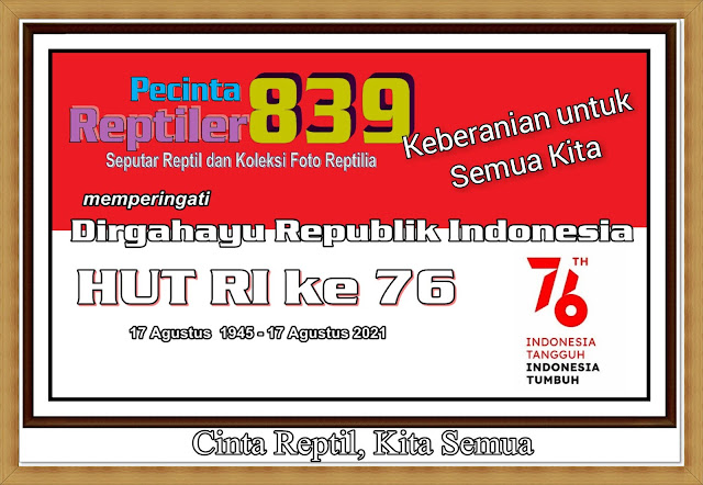 Pecinta Reptiler 839 Memperingati Dirgahayu Republik Indonesia Ke 76 2021- HUT RI ke 76