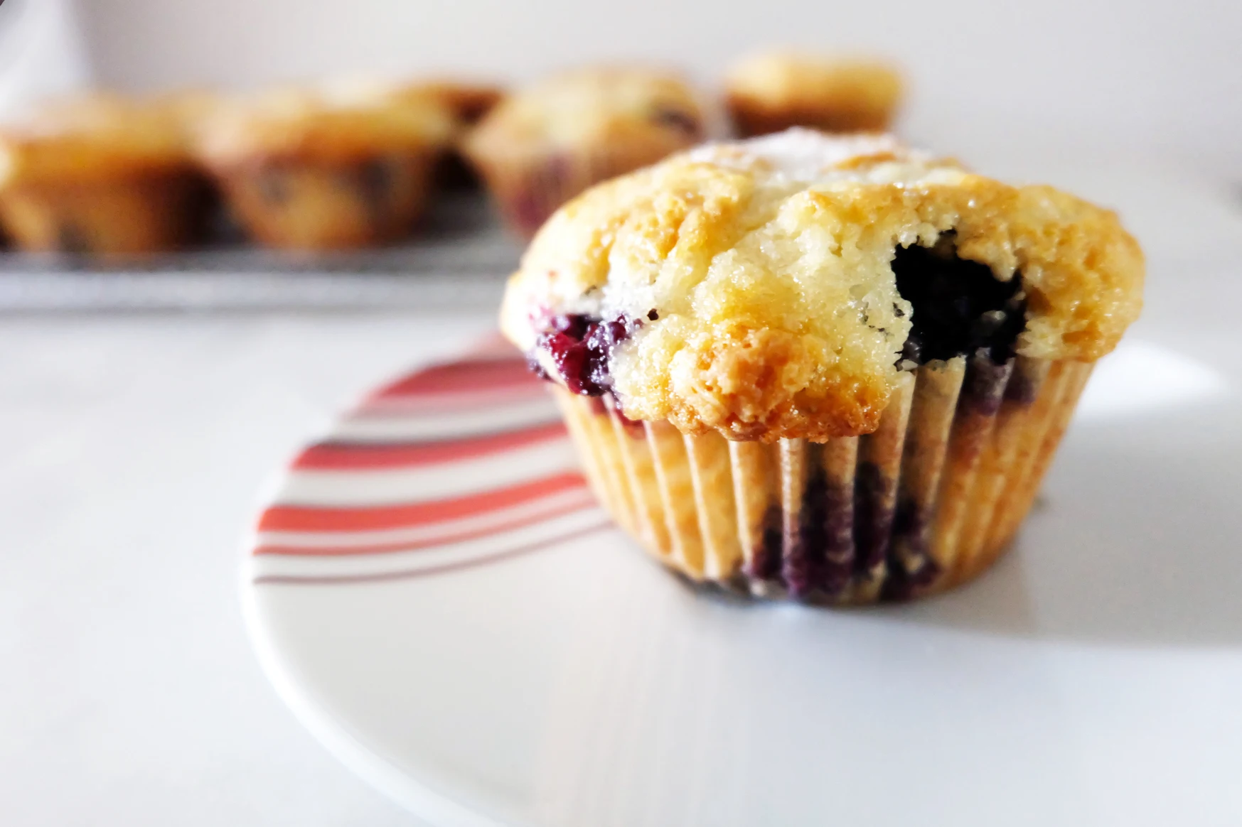 blueberry muffin