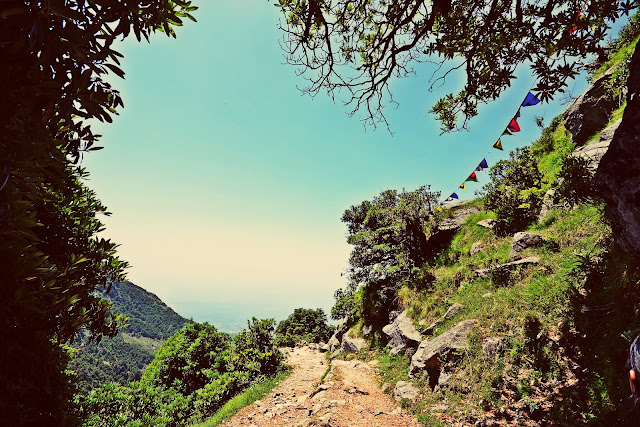 Photo of BF or BFF – Test the love with the Triund trek! 8/19 by Nerdy Adventuress