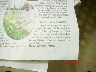 arı ve gizemli dünyası: 27.Tem.2011