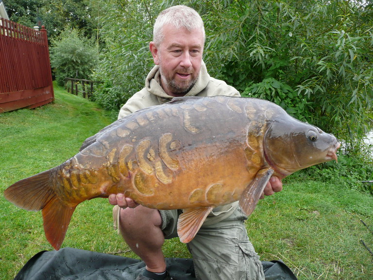 ли карп. карп в томской области. ли карп. рыба карп. забагрил карпа.