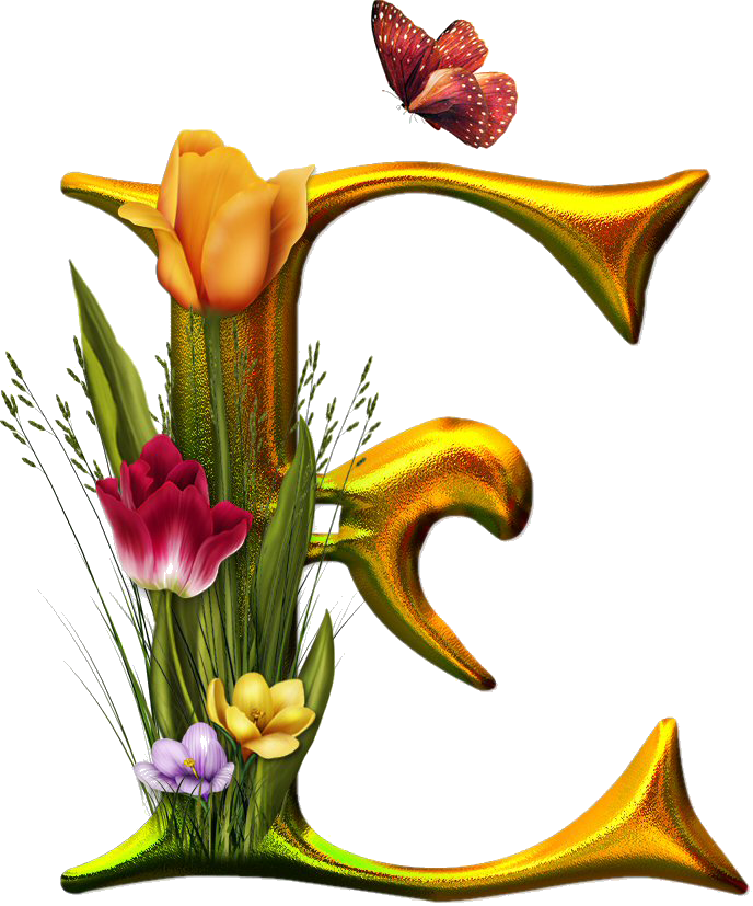 Bello Alfabeto con Flores y Mariposas. - Oh my Alfabetos!