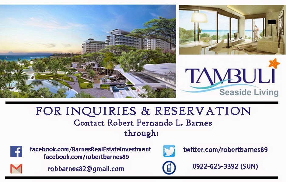 Barnes Real Estate Investment