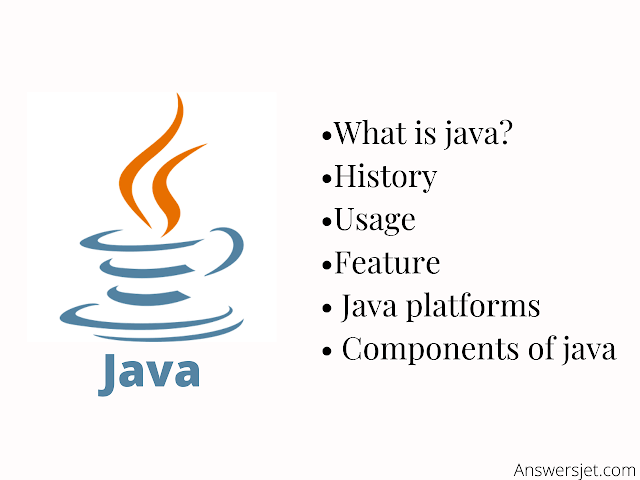 Java Programming Language: Usage, History, Platforms, Components ...