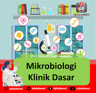 Mikrobiologi Klinik Dasar