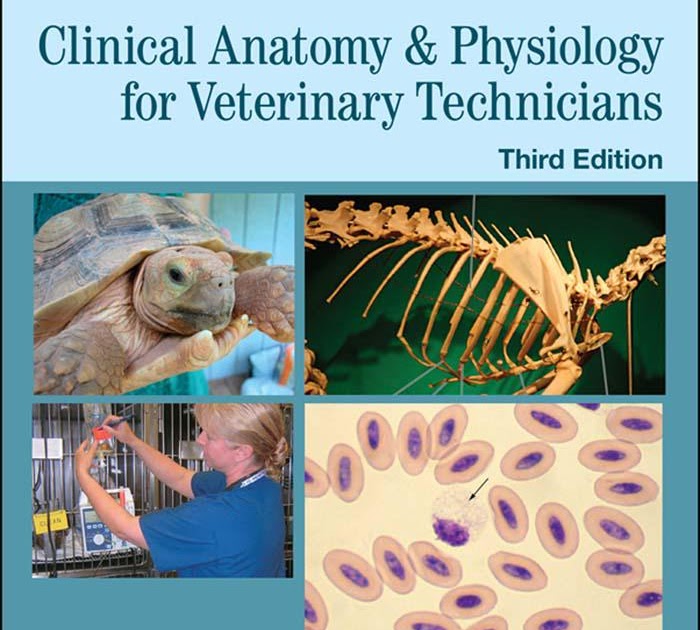 Laboratory Manual for Clinical Anatomy and Physiology for Veterinary