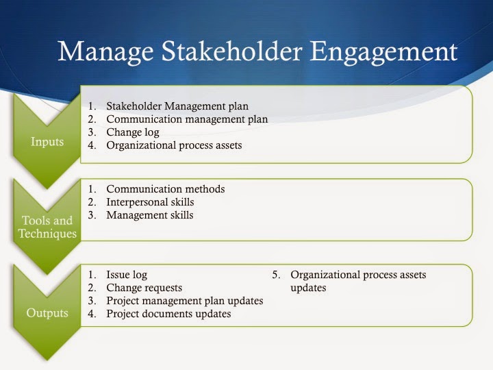 project stakeholder management thesis