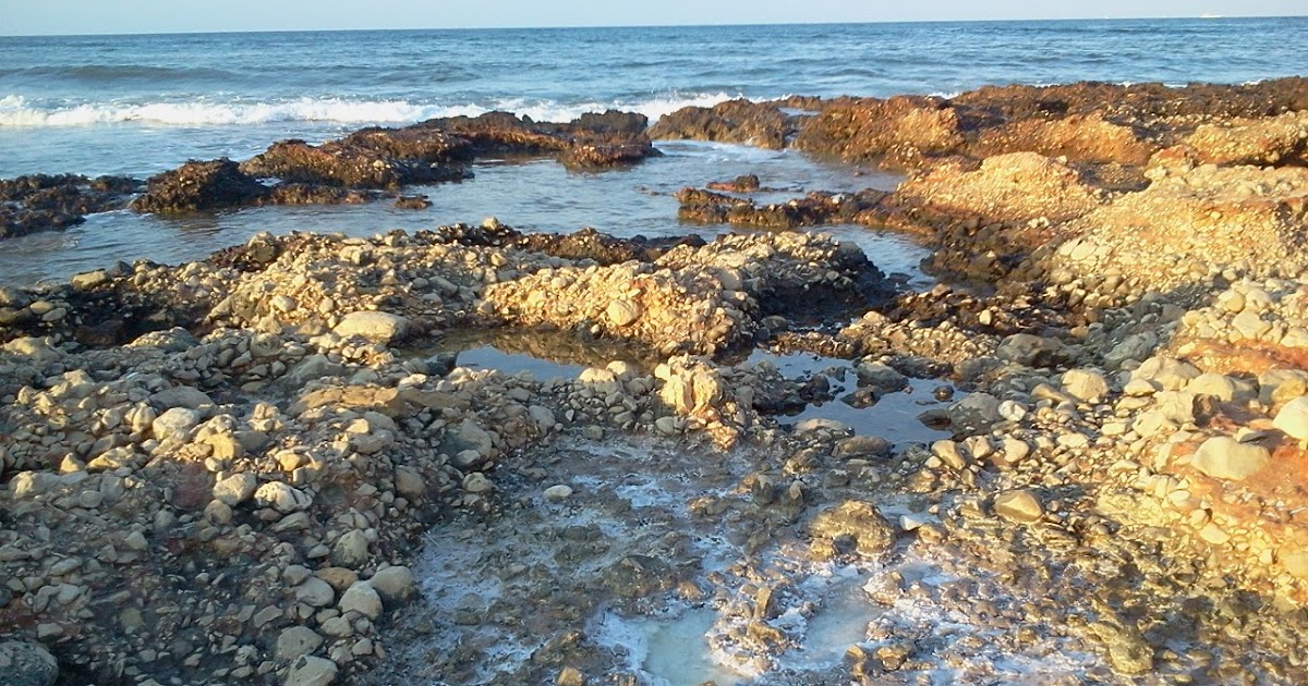 Planes con Mami HAY NIEVE EN