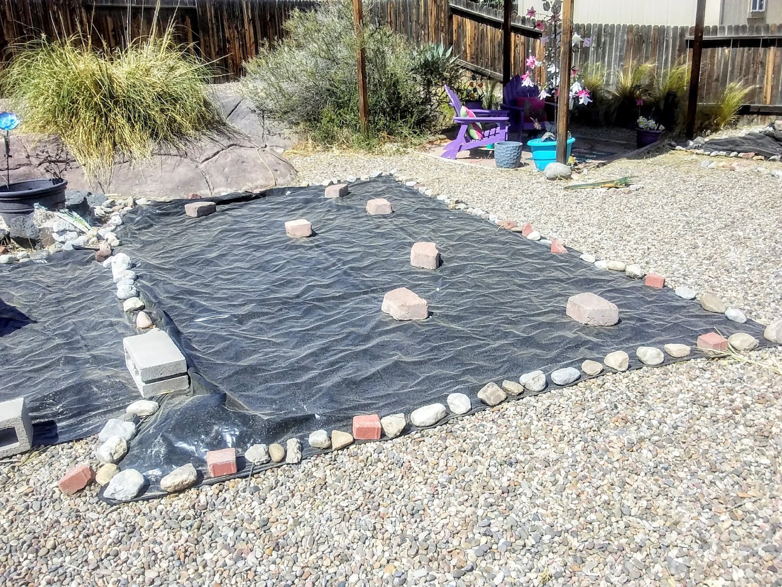 Using black plastic to prevent weeds from growing