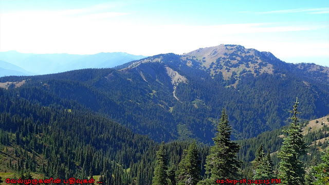 Sunrise Ridge Hurricane Ridge