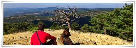 Senderismo-Bronchales-Sierra-Alta