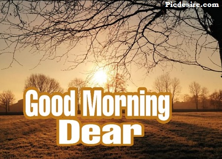Good Morning Dear | 30 Good Morning My Dear Images Good Morning Dear | 30 Good Morning My Dear Images