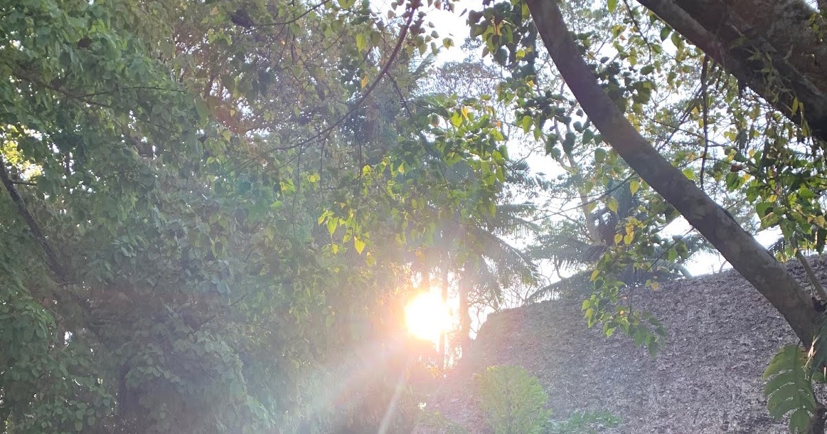 Barefoot Resort at Havelock