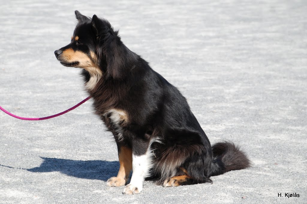 DSC_0678.JPG
