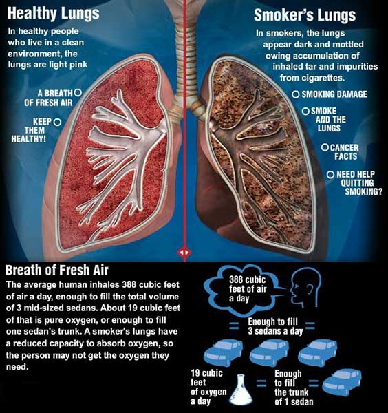 Weekly and Daily Tips for U: Tips on Harmful effects of Smoking