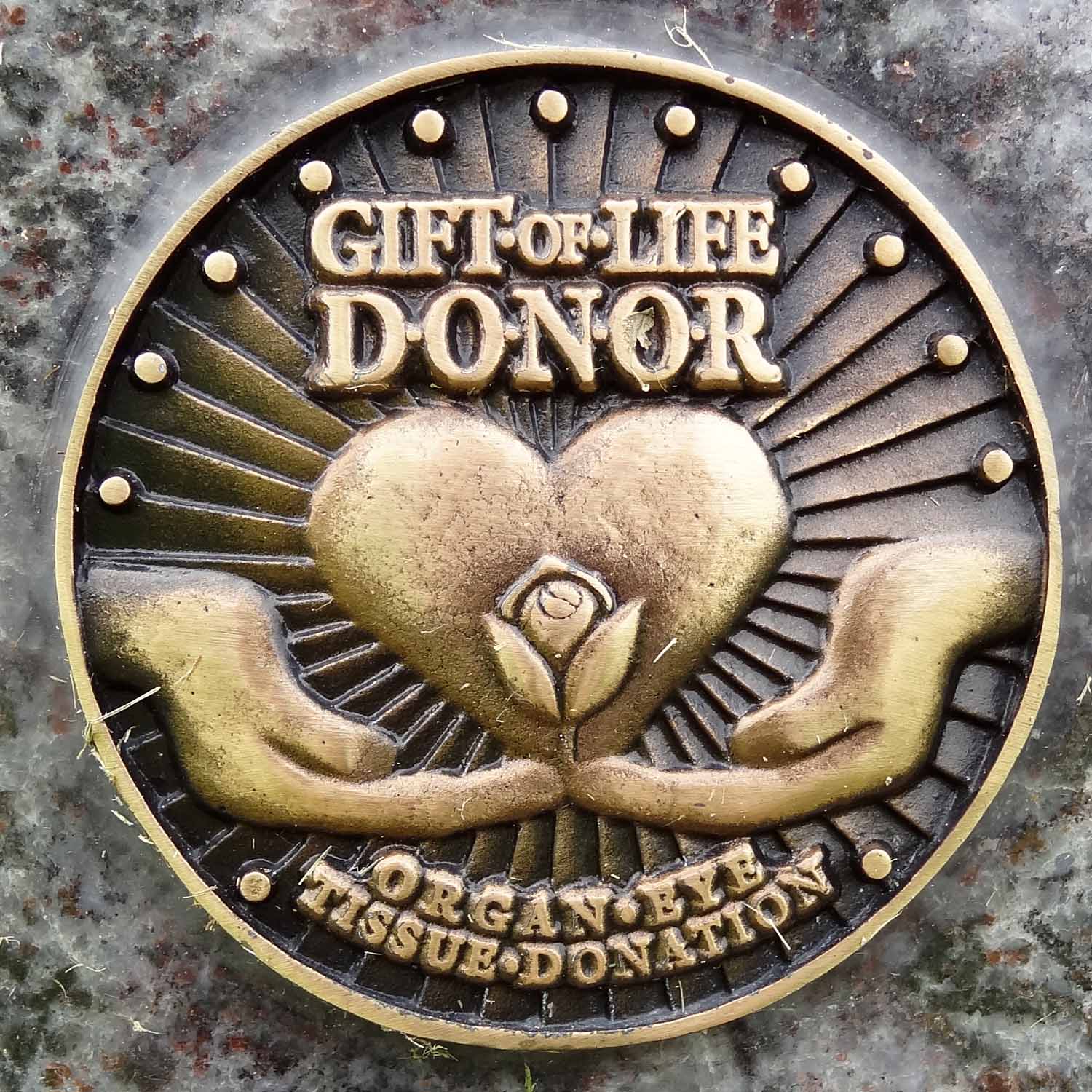 Geographically Yours Cemeteries Perry, New York