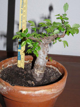 Kirschbaum Mit Roten Reifen Fruchten Machen Aus Ton Handgemachte