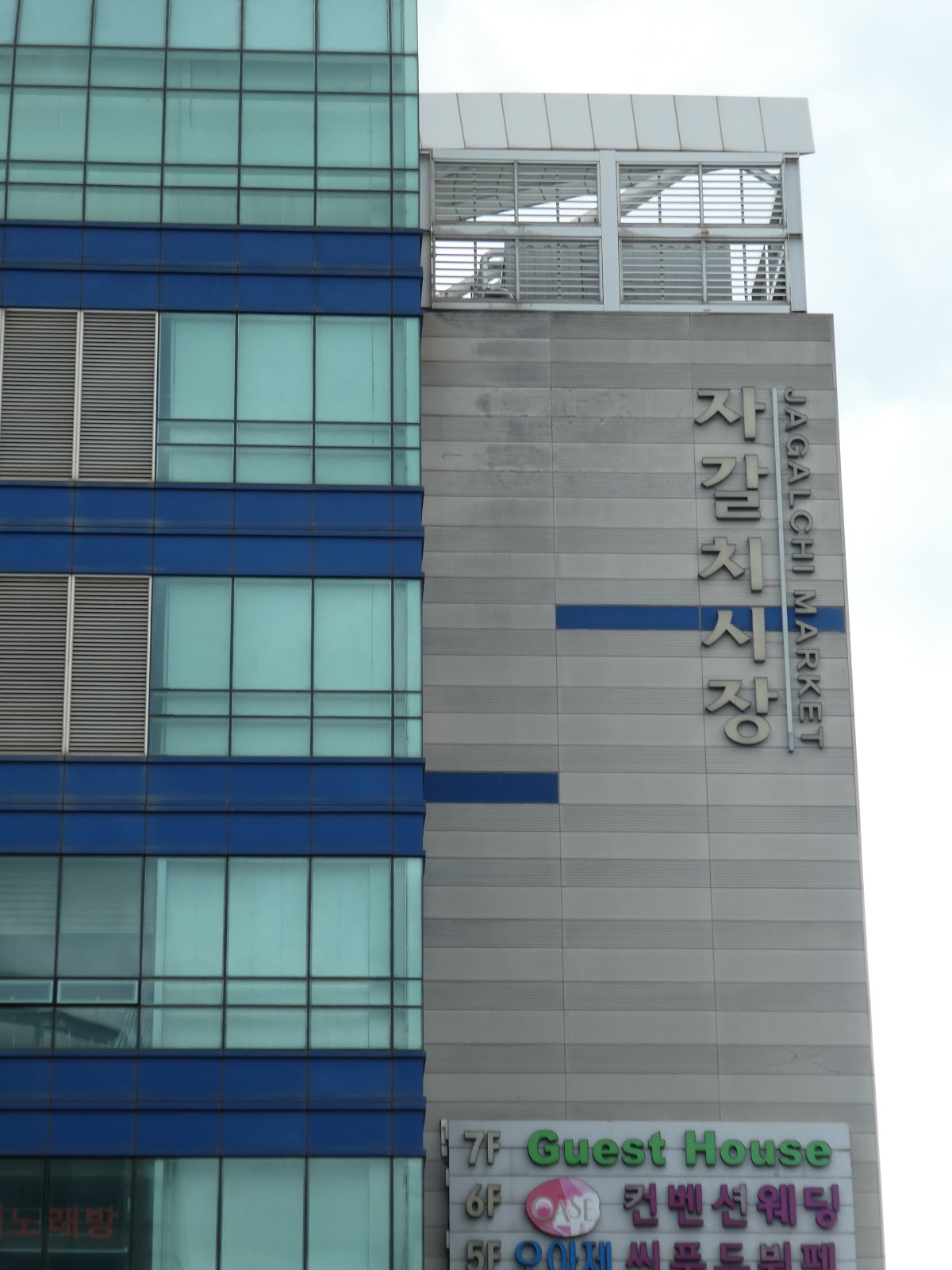 Christopher's Expat Adventure: Busan, South Korea