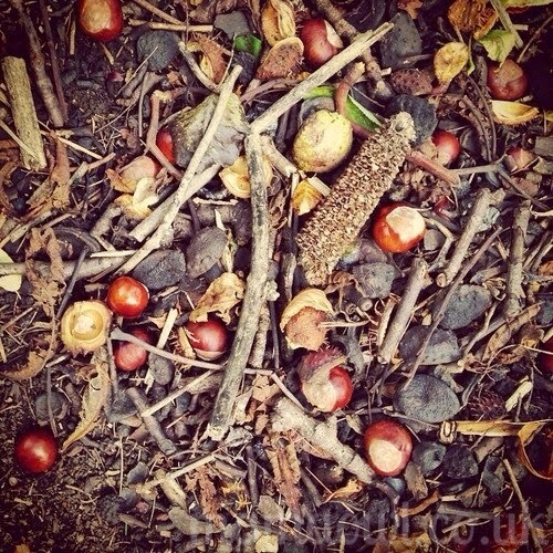 Mama OWL Blog {Autumn Bucket List} Things to do with Conkers! Mama OWL Blog {Autumn Bucket List} Things to do with Conkers!