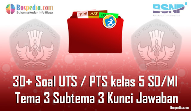 30+ Contoh Soal UTS / PTS untuk kelas 5 SD/MI Tema 3 Subtema 3 Kunci Jawaban