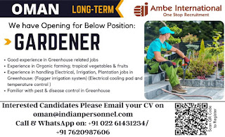 Gulf%2BJob%2BPaper%2B%252857%2529