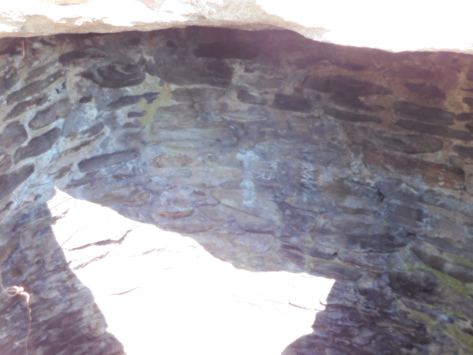 The Wayward Walker Kettle Brook Conservation Area