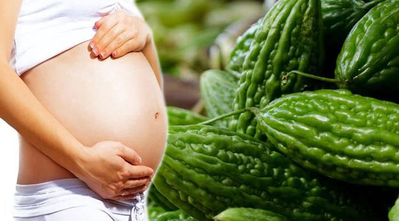 Bitter Gourd During Pregnancy