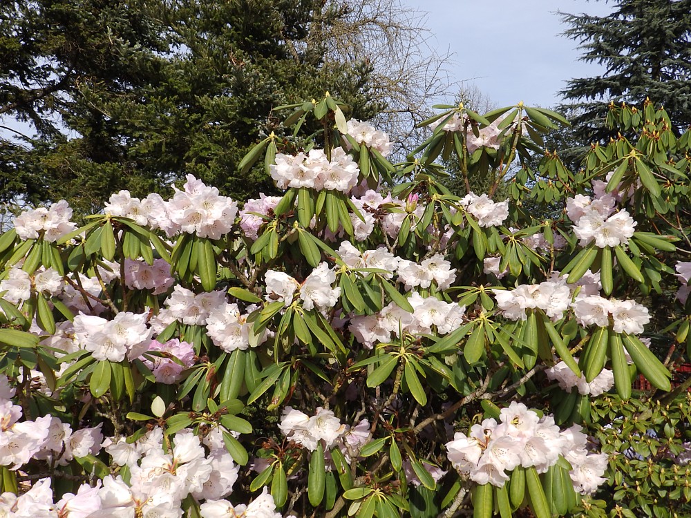 Gefalzt Zugeklebt 12 07 19