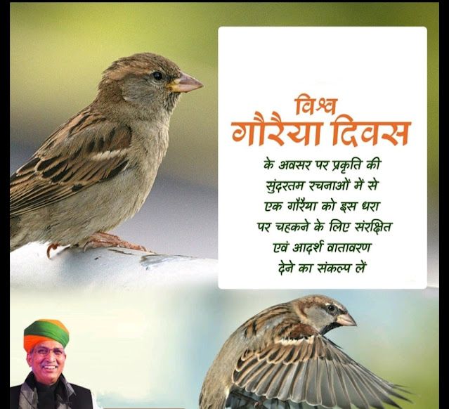 विश्व गौरैया दिवस | World Sparrow Day Quotes Images, Pictures, Photos, Status, Shayari, Poem in Hindi for WhatsApp Facebook Instagram